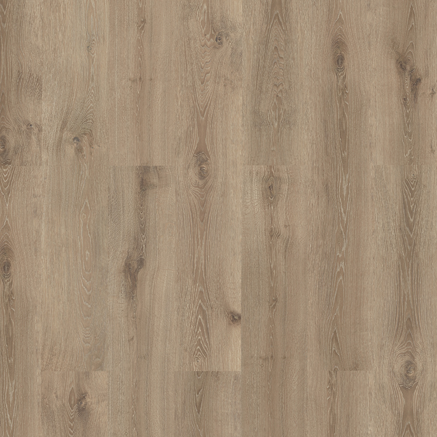 Plain Oak Greige Produktbild